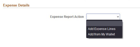 Expense Report Action drop-down