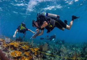 New AI tool will help survey, protect coral reefs